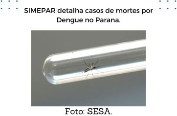 SIMEPAR detalha casos de mortes por Dengue no Paraná.