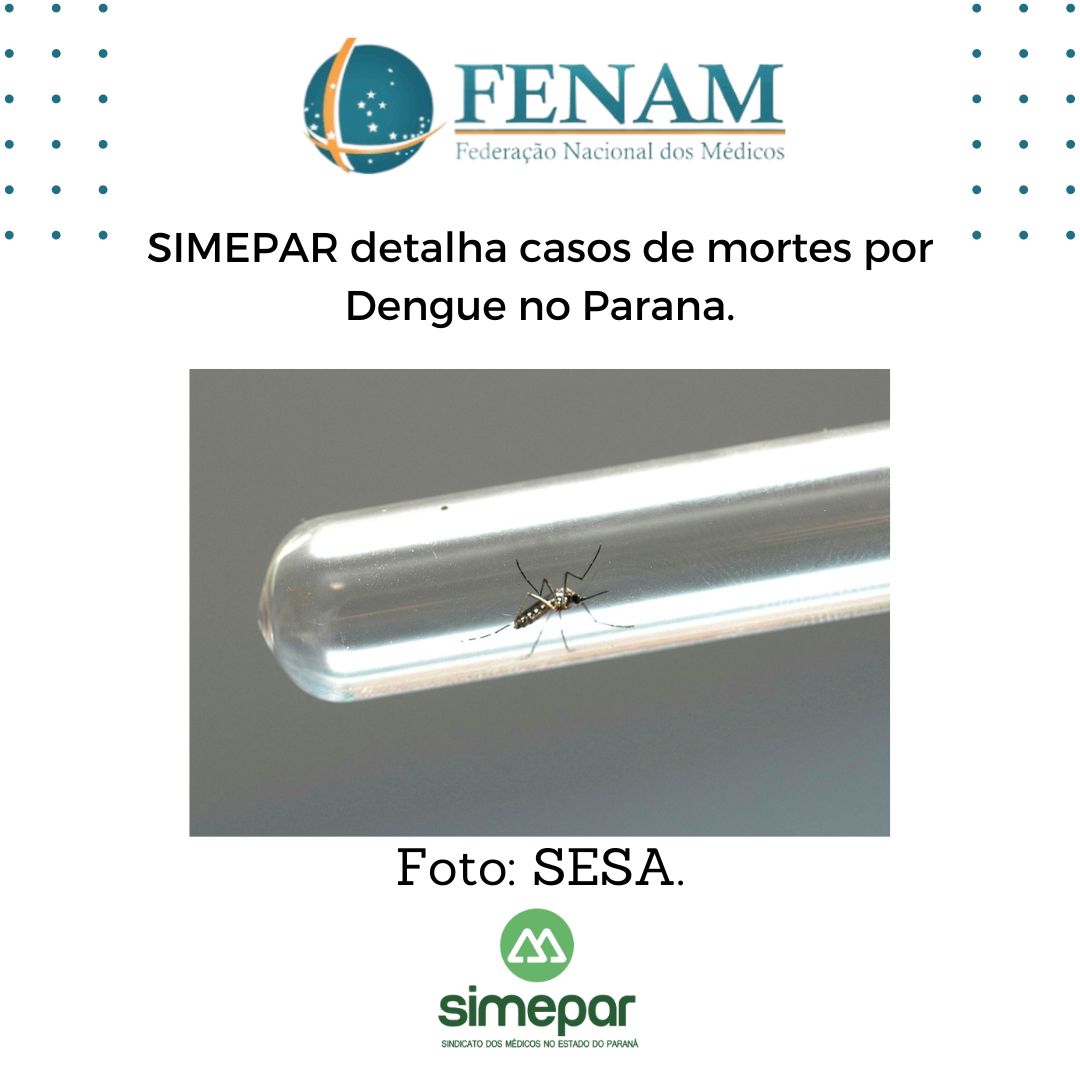 SIMEPAR detalha casos de mortes por Dengue no Paraná.